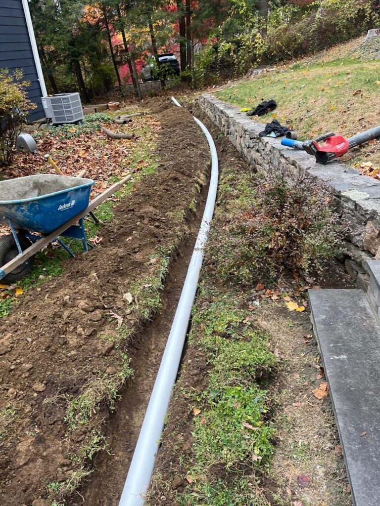 3162cc72 70f7 4e82 a898 b592cac2589f