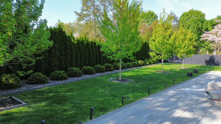 dji fly 20250501 173346 86 1746156432024 photo optimized